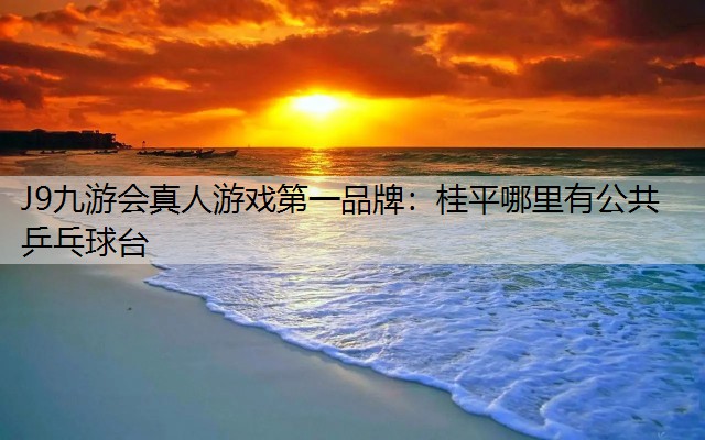 J9九游会真人游戏第一品牌：桂平哪里有公共乒乓球台