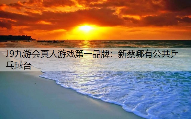 J9九游会真人游戏第一品牌：新蔡哪有公共乒乓球台