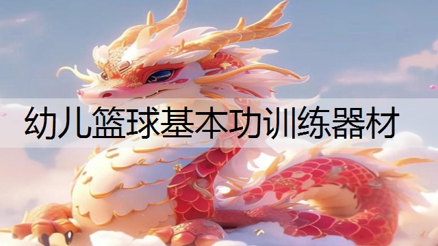 幼儿篮球基本功训练器材
