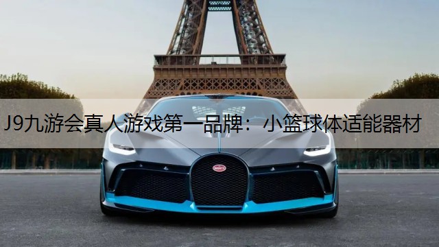J9九游会真人游戏第一品牌：小篮球体适能器材
