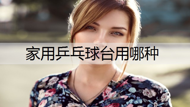 家用乒乓球台用哪种