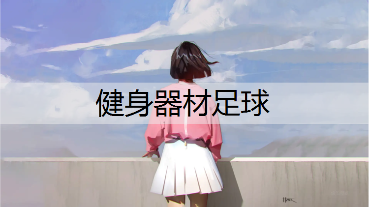 健身器材足球