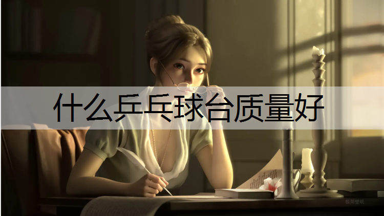 什么乒乓球台质量好
