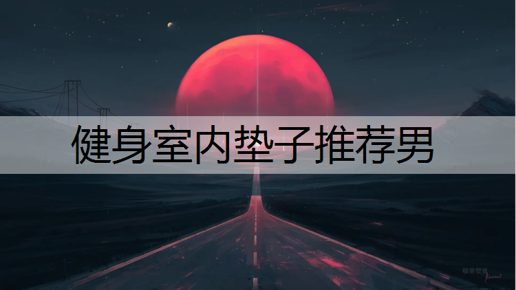 健身室内垫子推荐男