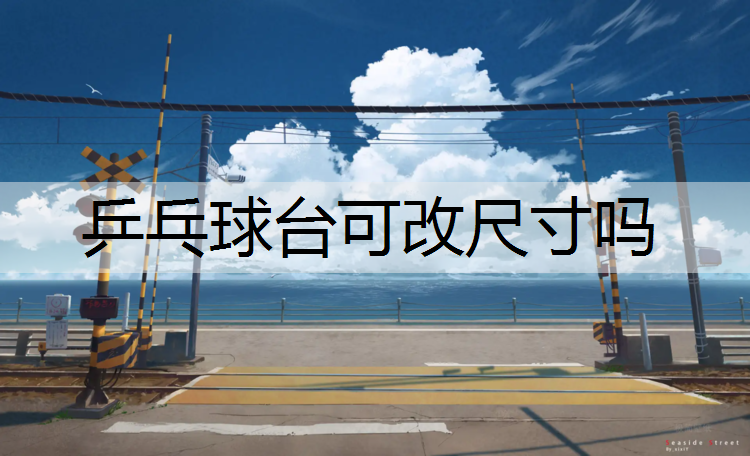 乒乓球台可改尺寸吗