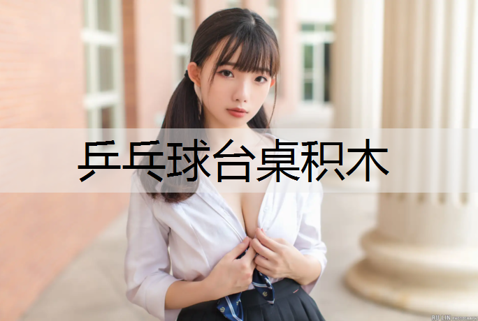 乒乓球台桌积木