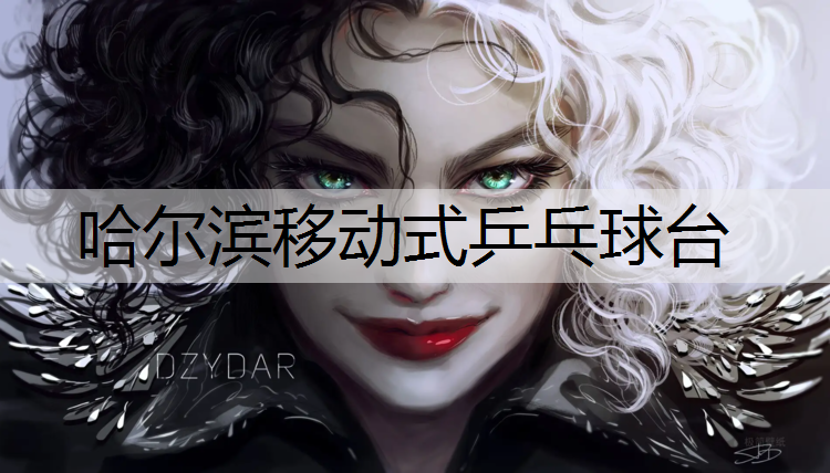 哈尔滨移动式乒乓球台