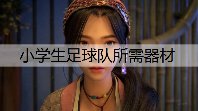 小学生足球队所需器材