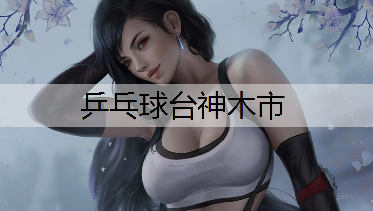 乒乓球台神木市