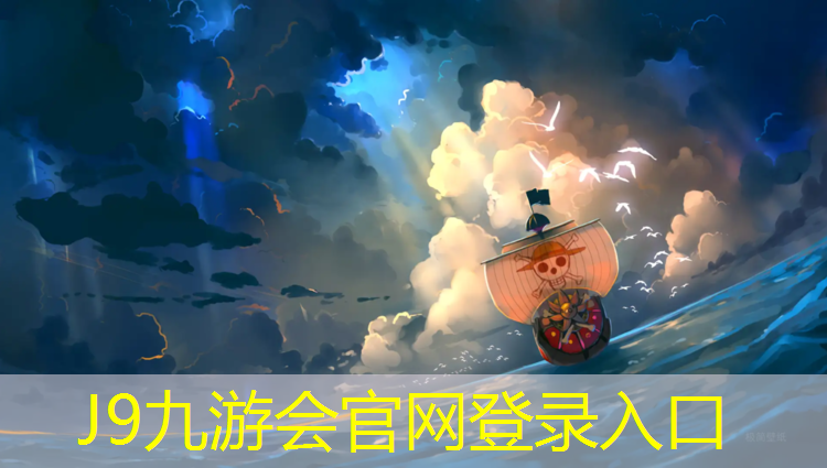 J9九游会官网登录入口：老款阿迪达斯跆拳道护具