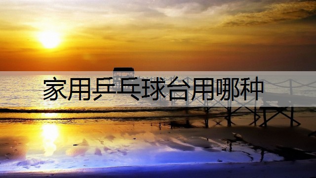 家用乒乓球台用哪种