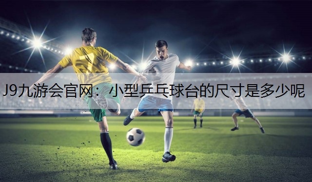 小型乒乓球台的尺寸是多少呢