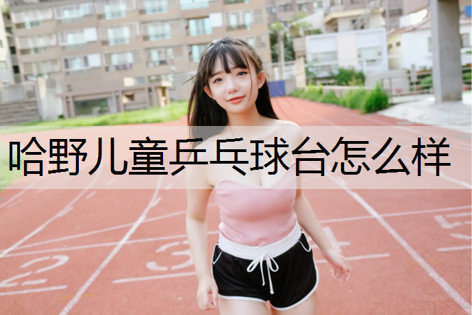 哈野儿童乒乓球台怎么样