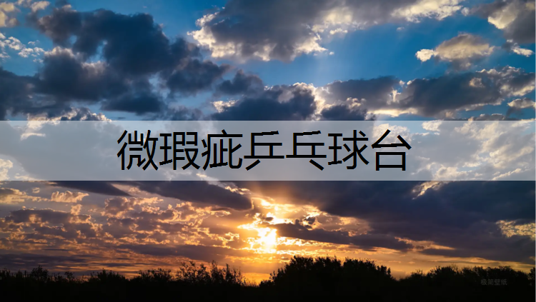 微瑕疵乒乓球台